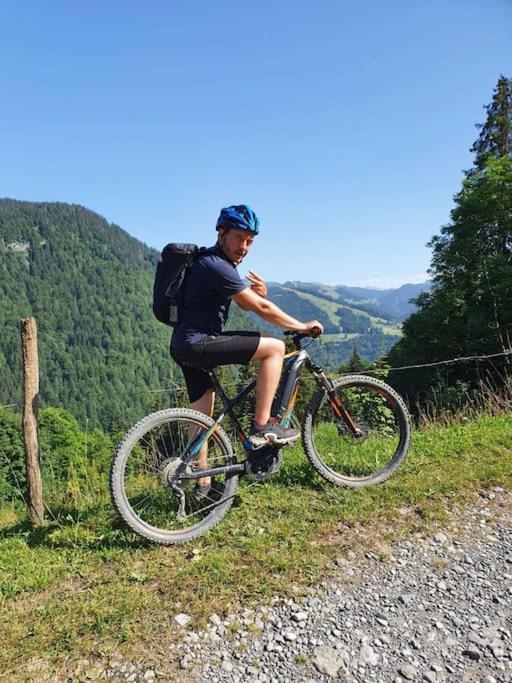Appartement La Duchere Le Plan-La Giettaz Massif Des Aravis מראה חיצוני תמונה