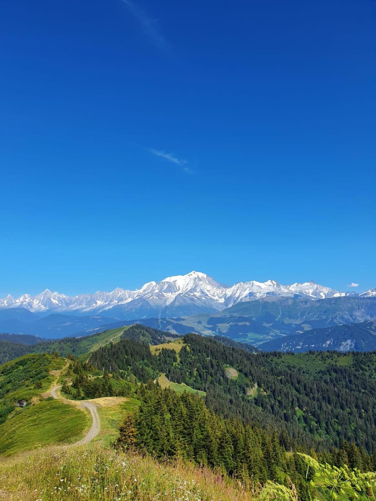 Appartement La Duchere Le Plan-La Giettaz Massif Des Aravis מראה חיצוני תמונה